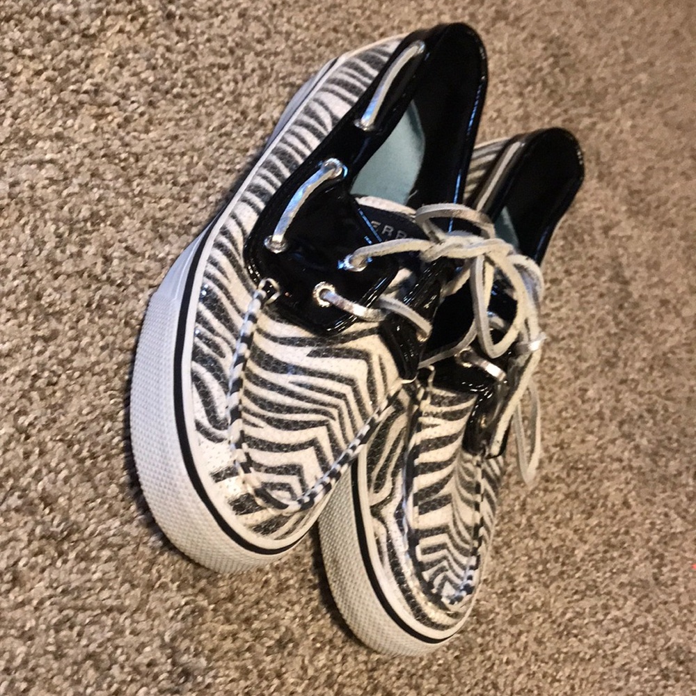 Zebra Sperry’s